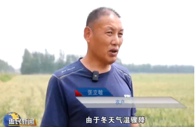 ef67521ac7ea1f8180005f76544cbf06.png