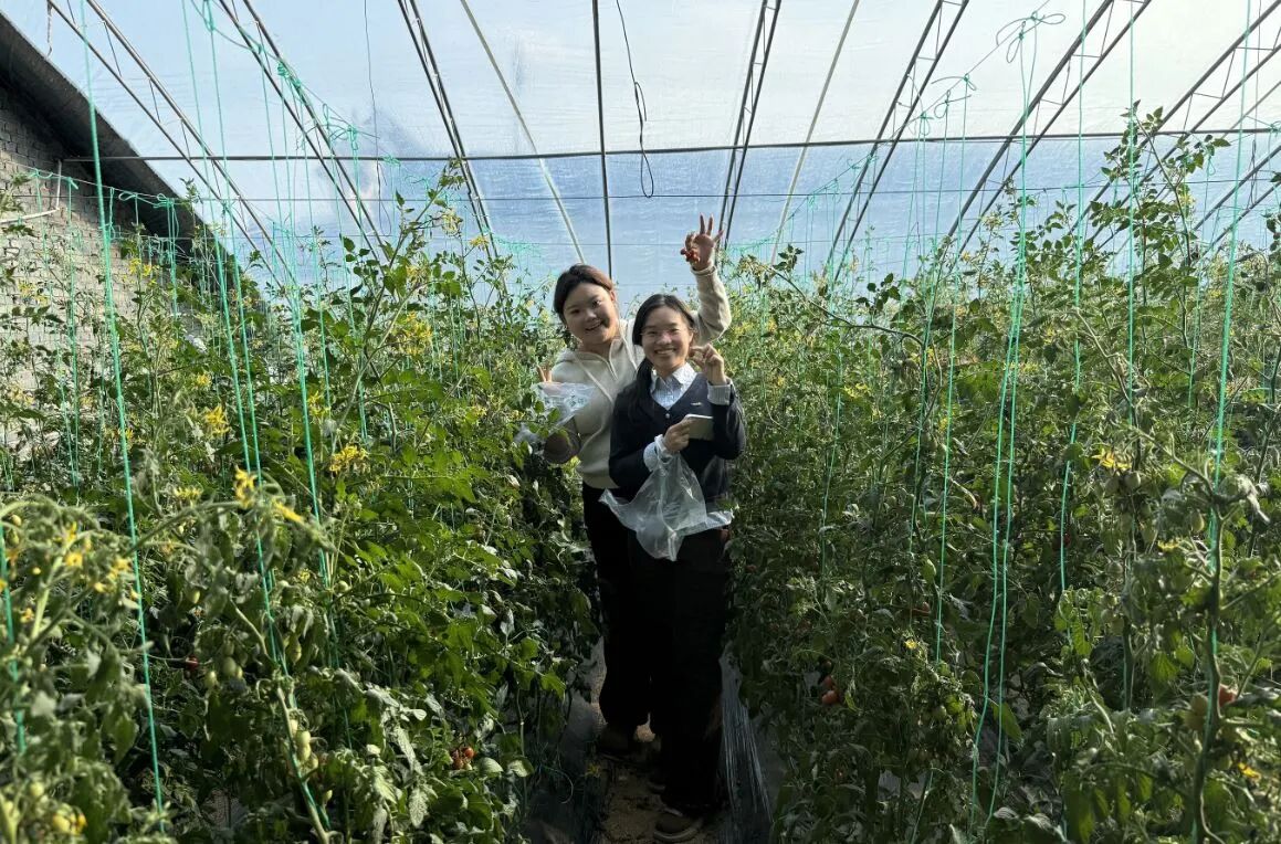 b6d0637de63ee195a7463501c51b7167.jpg b6d0637de63ee195a7463501c51b7167.jpg